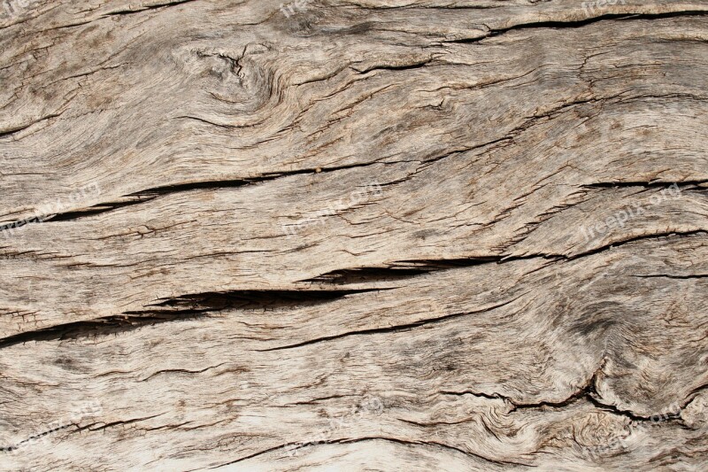 Wood Grain Texture Panel Timber