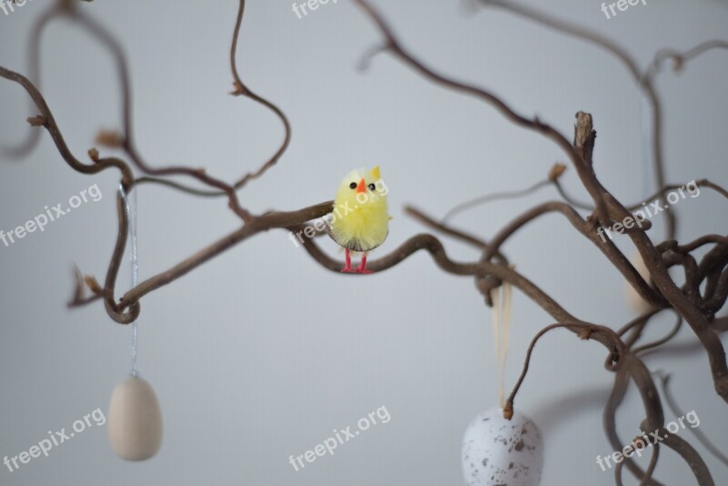 Easter Bird Branch Season Celebration