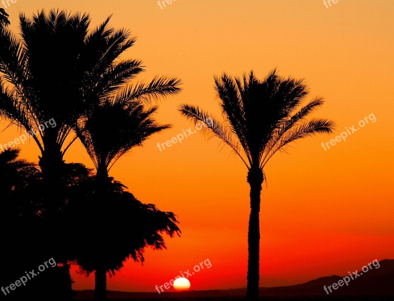 Egypt Landscape To Rise Sun Dawn