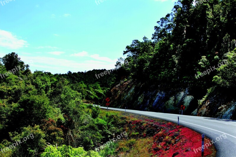 New Zealand Road Natural Landscape Colors