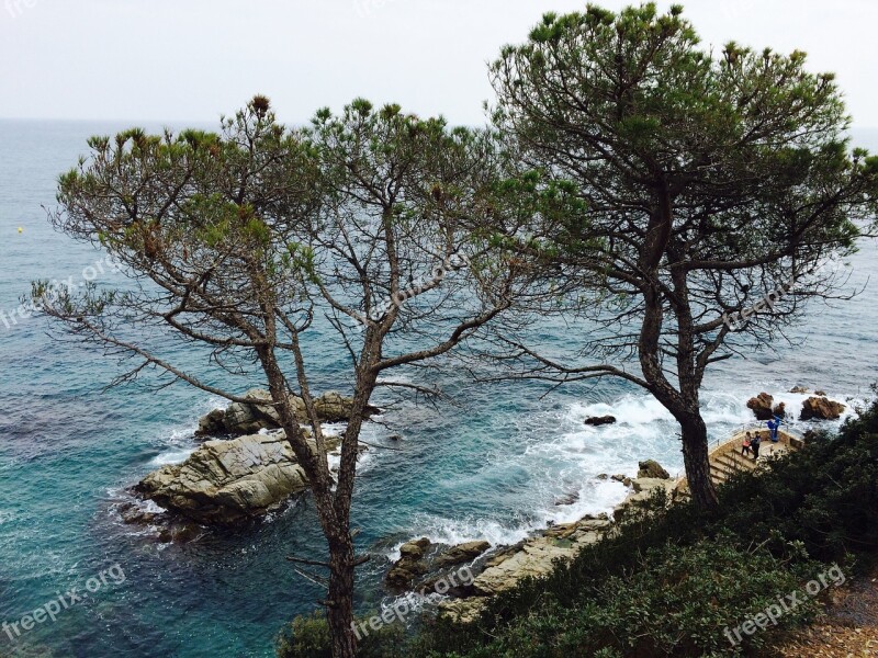 Sea Trees Coast Beach Sight