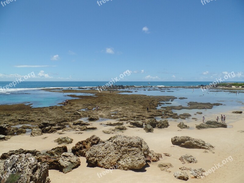 Mar Coral Reef Blue Beach Beira Mar