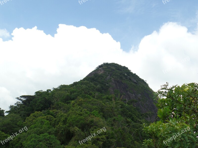 Mountain Rio De Janeiro Tijuca Forest Free Photos