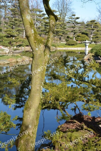 Japanese Garden North Park Düsseldorf Pond Nature