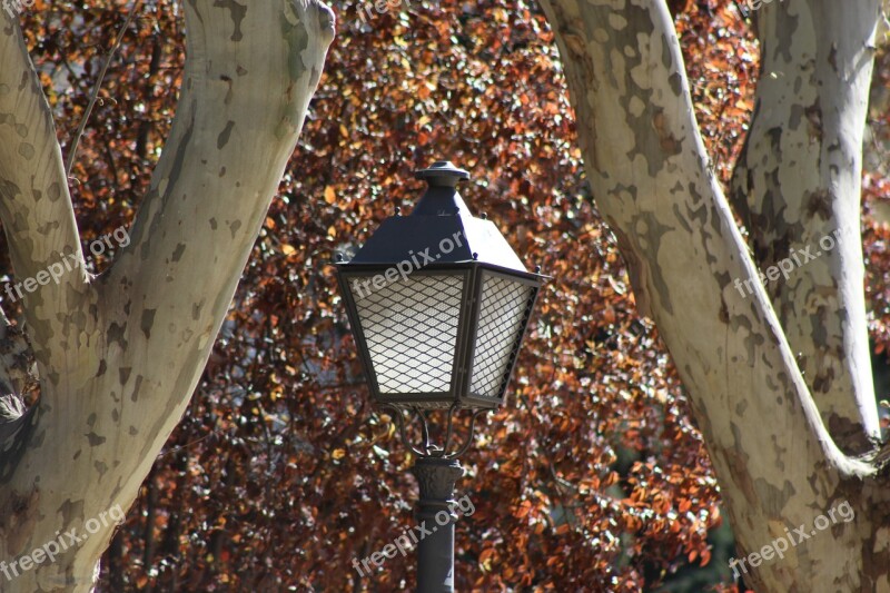 Street Lamp Park City Spring Trail