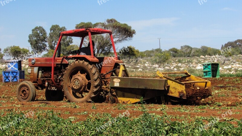 Tractor Working Potato Harvest Agriculture Free Photos