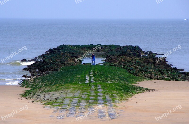 Angler Sea Belgium Coast Fisherman