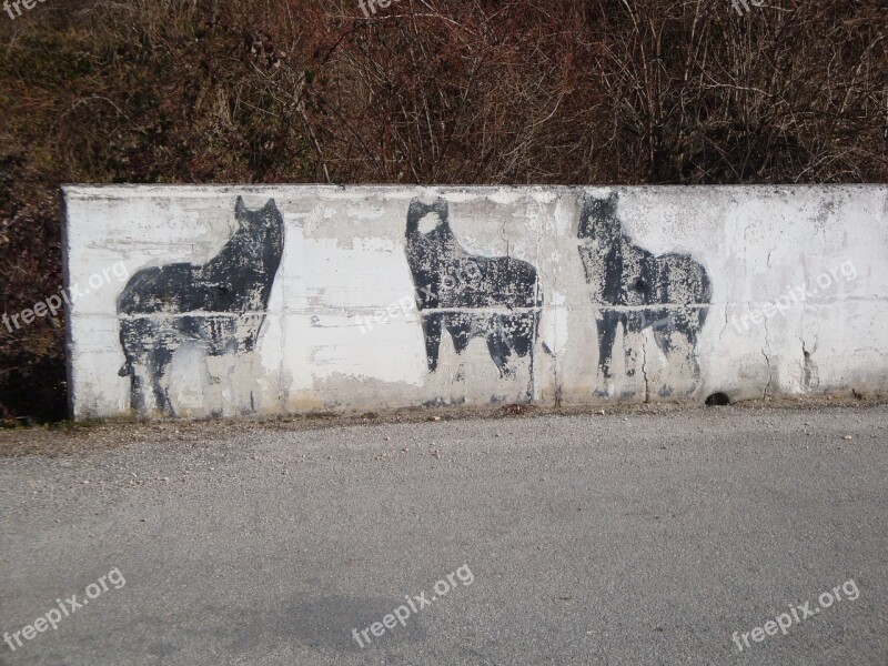 Wolves Mountain Murals Wall Drawing