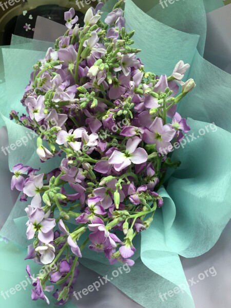 Bouquet Purple Flowers Graduation Congratulations