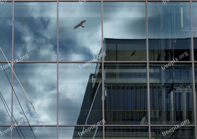 Architecture Reflection Contrast Glass Gray