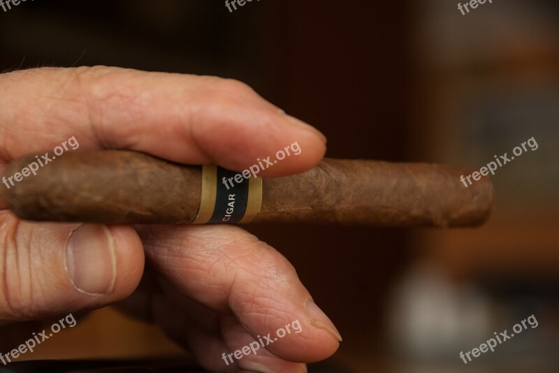 Cigar Smoke Smoker Tobacco Havana