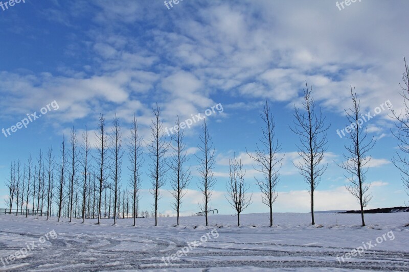 White Blue Sky Blue Sky Snow