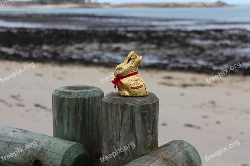 Easter Egg Hunt Seaside Chocolate Free Photos