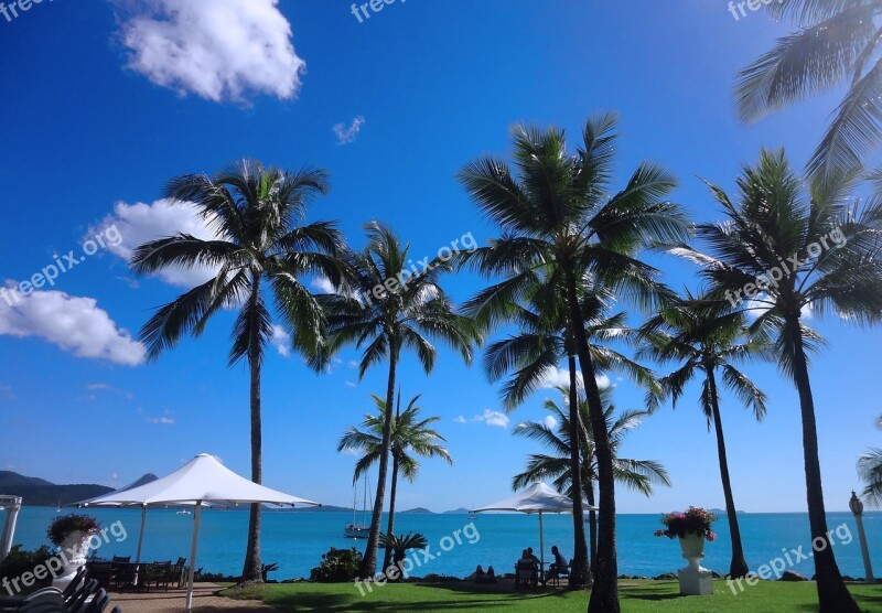 Airlie Beach Blue Sky And White Clouds Beach Palm Tree The Scenery