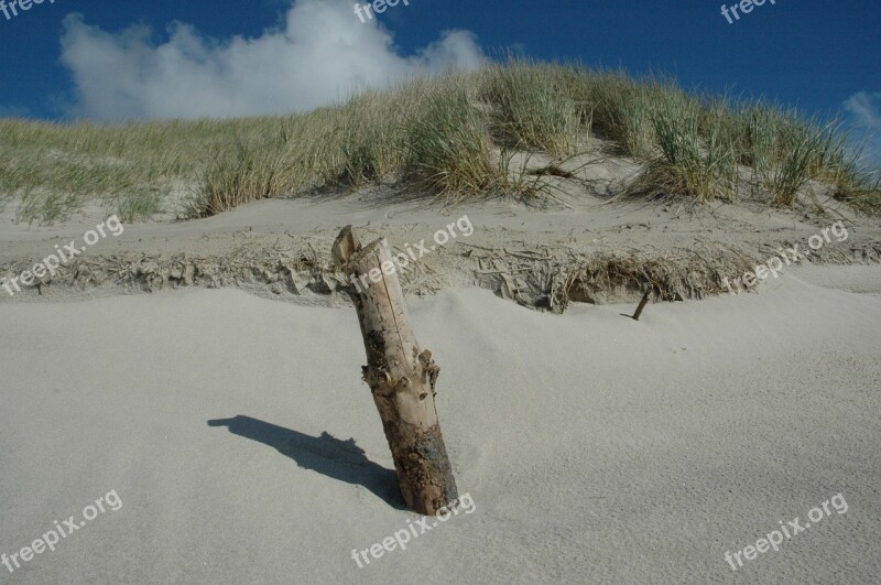 Beach Pile Sea Piles Coast