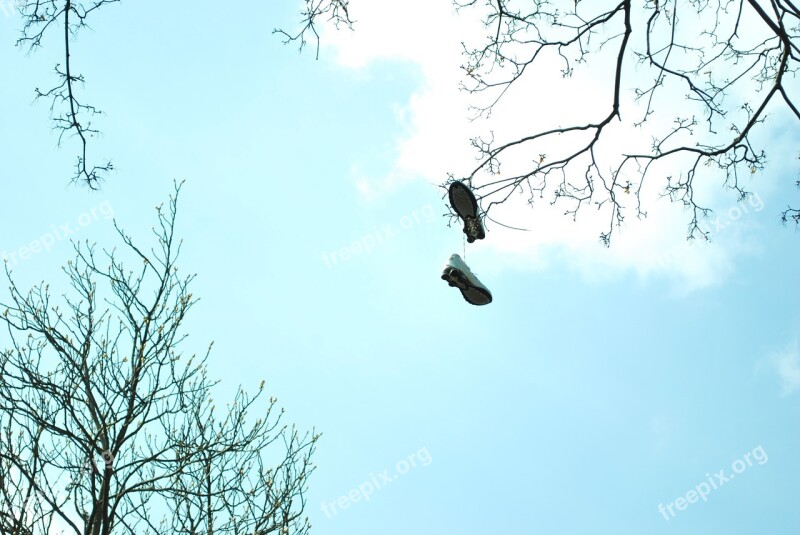 Boots Heaven Tree Sky Spring