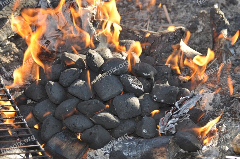 Fire Flames Charcoal Briquettes Free Photos