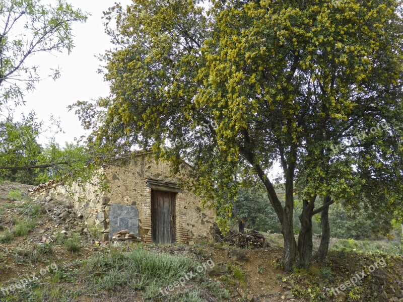 Barraca Cabin Pastoral Bucolic Rural