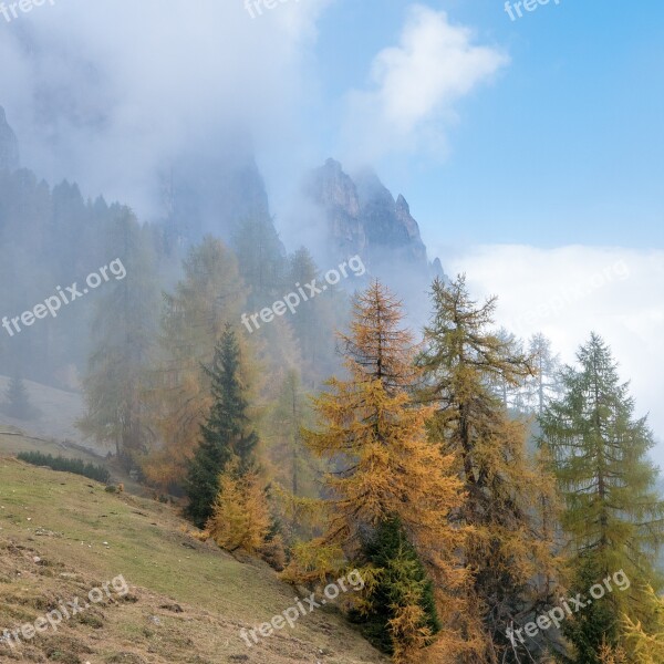 Autumn Larch Fall Color Golden Autumn Mountains