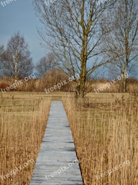 Pathway Rural Grassland Environment Nature