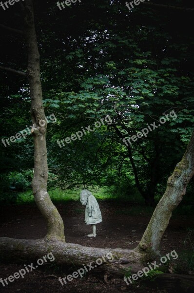 Statue Woods Forest Sculpture Wood