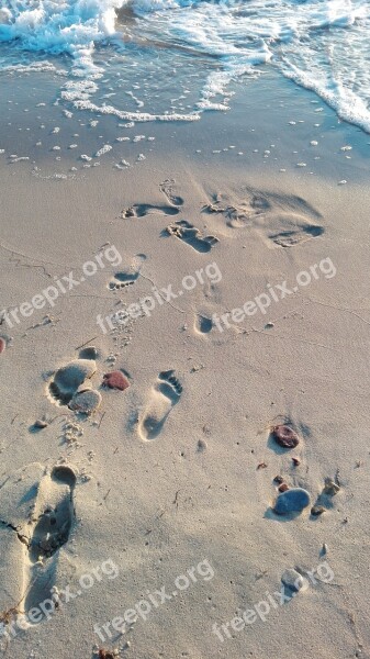 Beach Traces Sea Footprints Sand Beach