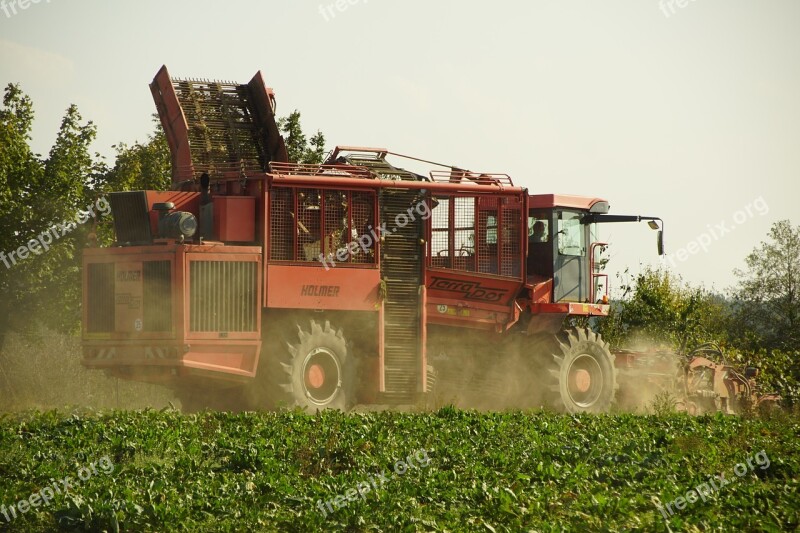 Combine Beets Field Agriculture Food