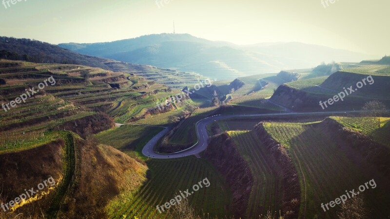 Kaiserstuhl Vineyard Landscape Vineyards Germany