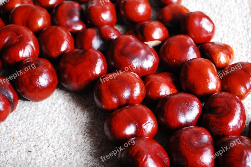 Chestnut Nuts Still Life Red Free Photos