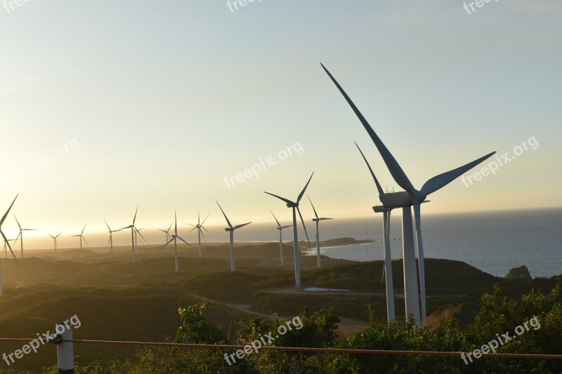 Philippines Windy Peace Beach Seashore