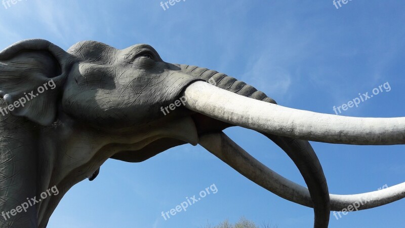 Mammoth Nature Prehistoric Times Landscape Free Photos