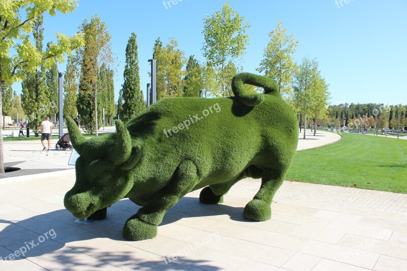 Krasnodar Sports Stadium Park Bull