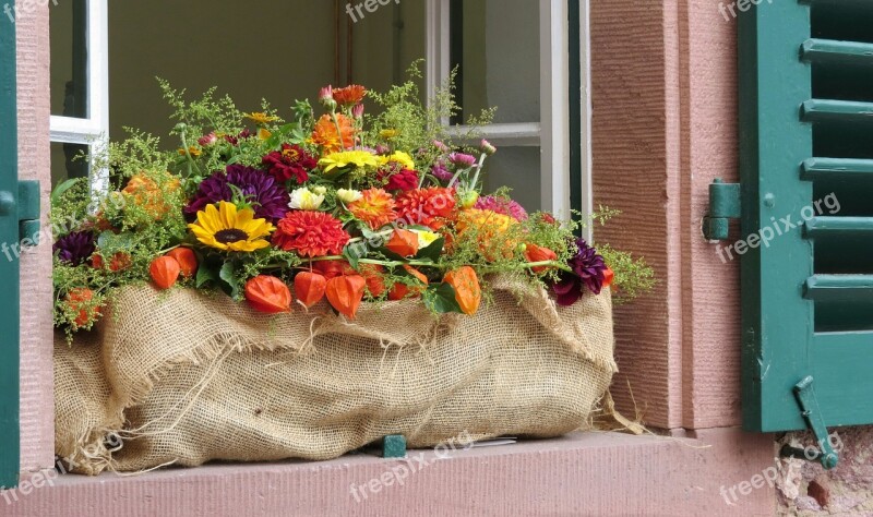 Herbstdeko Flower Box Window Sill Autumn Autumn Flowers