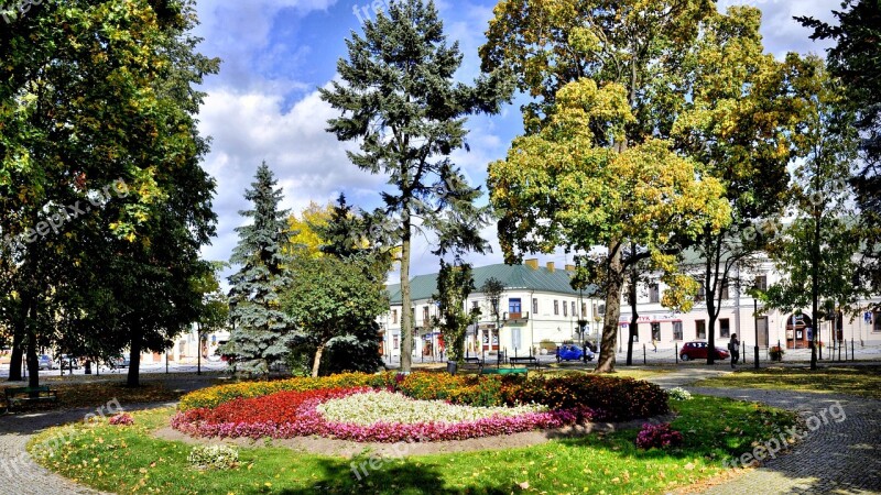 Park Autumn Nature Foliage Landscape