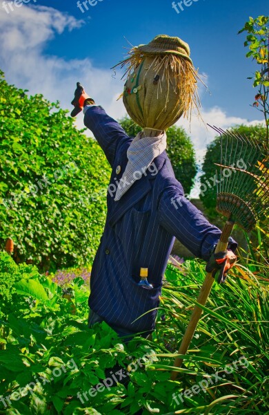 Scarecrow Garden Doll Face Funny