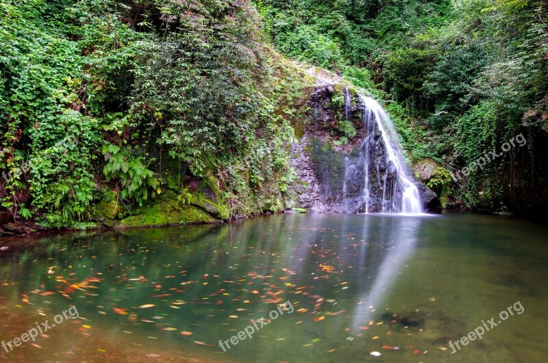 Lake Nature Rize çayeli Autumn