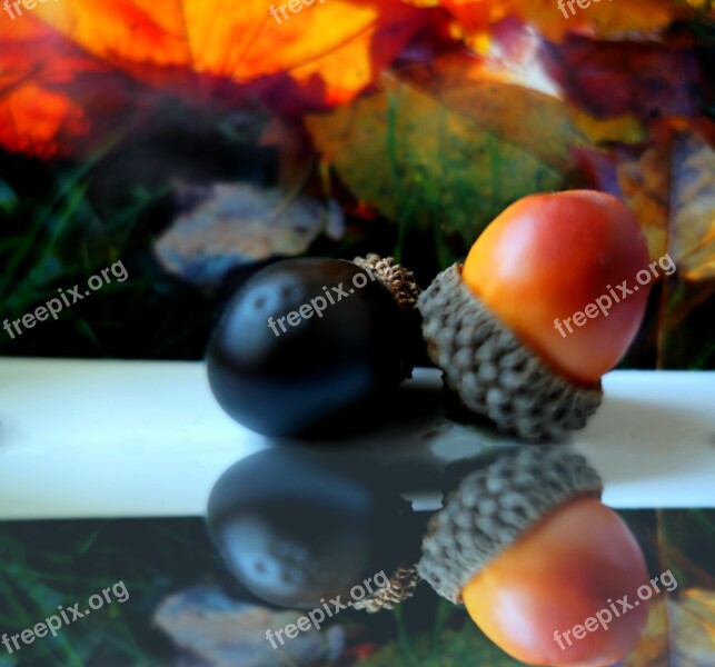 Autumn Deco Herbstdeko Autumn Decoration Decoration