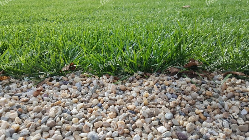 Grass Gravel Nature Landscape Green