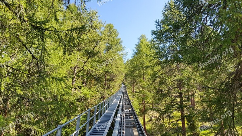 Muottas Muragl Funicular Railway Rails Mountain Railway Forest