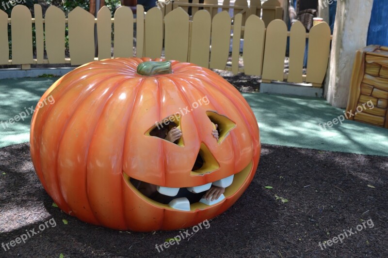 Pumpkin Vegetable Autumn Clearance Harvest