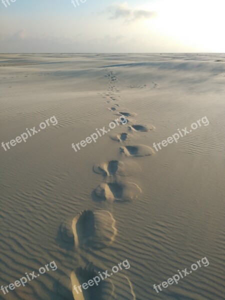 Traces Sand Sea Beach Background