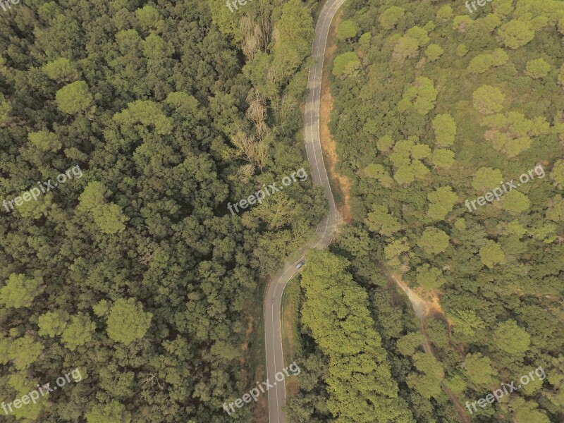 Aerial Road Car Forest Wallpaper