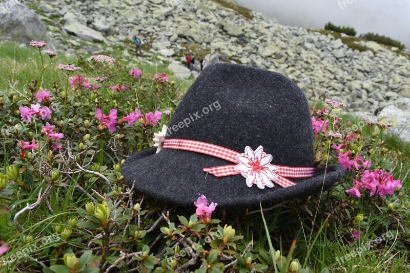 Tirol Hat Rhododendron Free Photos