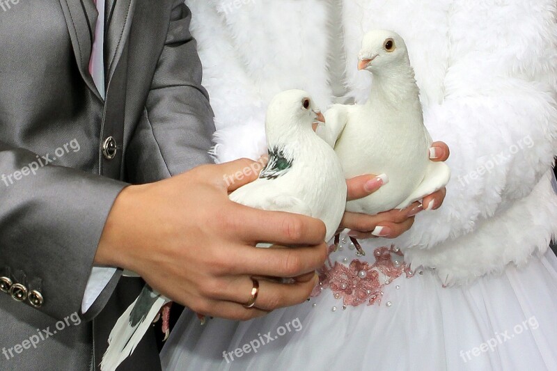 Wedding Tradition The Groom Bride Pigeons