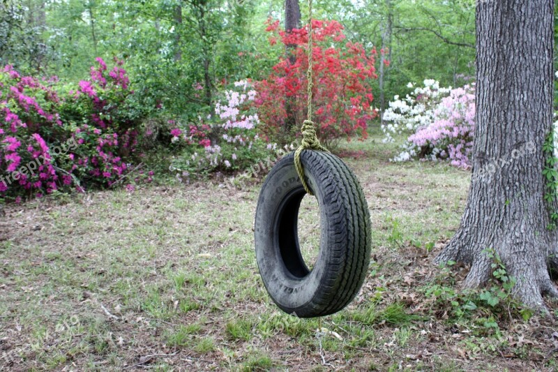 Tire Swing Azaleas Backyard Free Photos