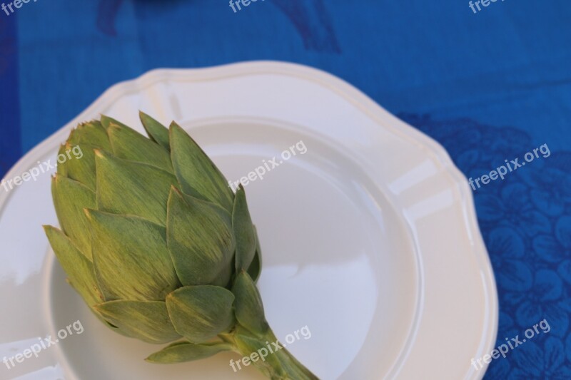 Artichoke Plant Food Vegetable Ingredient