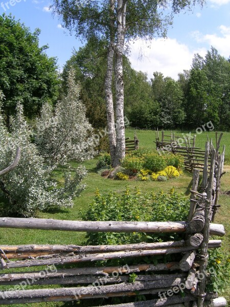 Old Fence Sweden Birch Free Photos