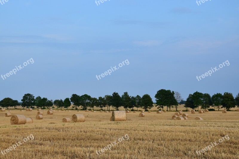 Harvest Landscape Agriculture Straw Village