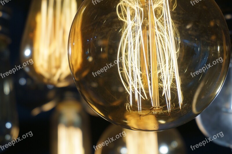 Bulb Electric Light Light Radiating Free Photos