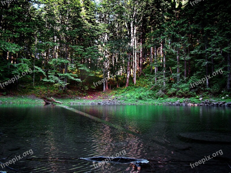 Wet Rates Massif Of Babia Beskid High Lake Rates